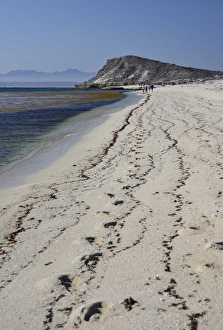 Images Dated 25th May 2012: Isla de Espiritu Santo, Baja, Mexico, Ecotourists explore the pristine beaches of