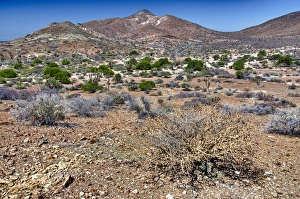 Images Dated 26th May 2012: Isla de Espiritu Santo, Baja, Mexico, The desert landscape of Isla de Espiritu Santo