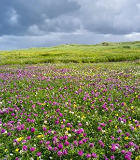 Isle of Lewis, part of the island Lewis and Harris in the Outer Hebrides of Scotland