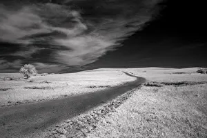 Dirt Road Prints: Isolated road in the Kansas Flint Hills