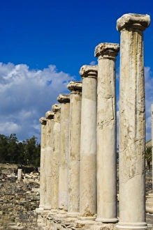 Israel. Bet She an National Park