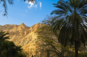 Israel, Dead Sea. Desert scenery