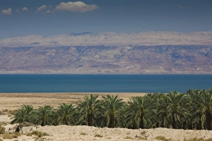 Israel, Dead Sea, Metzoke Dragot, Dead Sea and Palm Grove