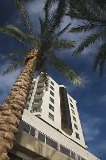 The Galilee Prints: Israel, The Galilee, Tiberias, waterfront hotel and palm trees