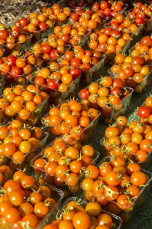 Images Dated 17th January 2022: Issaquah, Washington State, USA. Pints of cherry tomatoes for sale at a Farmers Market