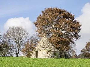 Conical Prints: Italy, Alberobello. A typical trulli house with its conical shaped roofs