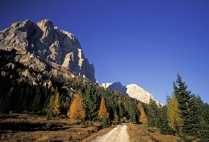 Pass Prints: Italy, Alps, Dolomites, Trentino-Alto-Adige