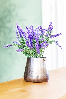 Images Dated 22nd August 2019: Italy, Apulia, Metropolitan City of Bari, Monopoli. Lavender flowers in a metal vase