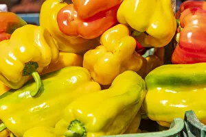 Images Dated 22nd August 2019: Italy, Apulia, Metropolitan City of Bari, Locorotondo. Peppers for sale in an outdoor