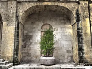 Images Dated 8th April 2019: Italy, Bari, Apulia, Monopoli. Arch with potted plants in the courtyard near the Basilica
