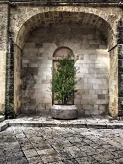 Bari Prints: Italy, Bari, Apulia, Monopoli. Arch with potted plants in the courtyard near the Basilica