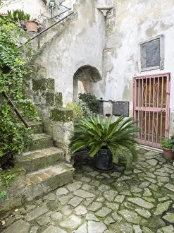 Matera Prints: Italy, Basilicata, Matera. Plants adorn the outside walls of the Sassi houses