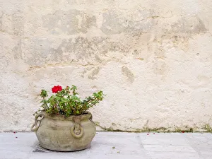 Matera Prints: Italy, Basilicata, Matera. Potted plants outside the Sassi houses