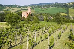 Images Dated 20th May 2007: Italy, Bologna, View through Vineyard to Chiesa Di Casaglia