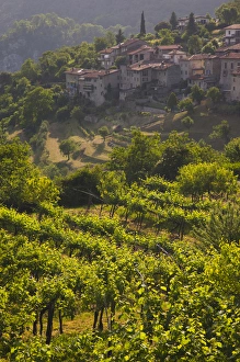 Images Dated 26th May 2009: ITALY, Brescia Province, Tremosine. Sermerio vineyards