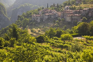ITALY, Brescia Province, Tremosine. Sermerio vineyards