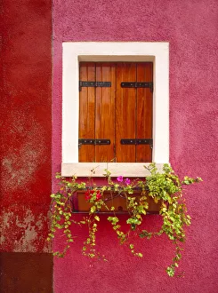 Images Dated 13th September 2018: Italy, Burano. Colorful window and walls