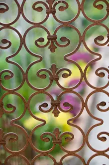 Images Dated 9th May 2005: ITALY-Campania-(Bay of Naples)-CAPRI: Garden Detail / Via Tiberio
