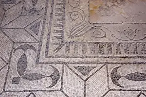 Herculaneum Prints: Italy, Campania, Herculaneum. Mosaic floor designs uncovered from excavated ruins