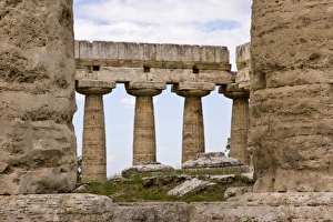 Campania Prints: Italy, Campania, Paestum. Columns of the Temple of Hera