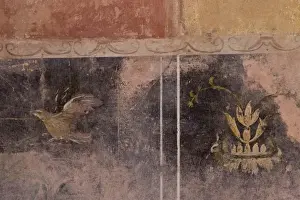 Campania Prints: Italy, Campania, Pompeii. Wall detail of art in the Fullery of Stephanus