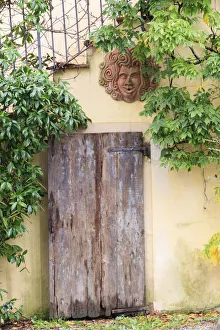 Italy, Chianti. Radda. Wooden door with greenery and decorative terracotta face