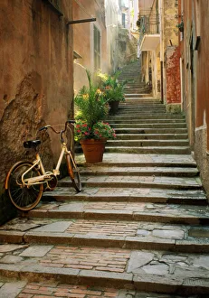 Bicycle Prints: Italy, Cinque Terre, Monterosso. Bicycle and uphill stairway