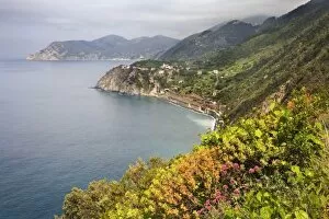 Italy. Coastal hiking area between the villages of Manarola and Corniglia in Cinque Terre