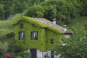 Como Province Prints: ITALY, Como Province, Bellagio. Leafy house