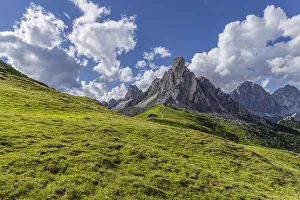 Italy, Dolomites, Giau Pass. Mountain meadow