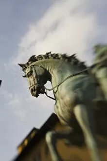 Images Dated 27th May 2007: Italy, Florence, Selective Focus of The Statue of Equestrian Statue of Cosimo I
