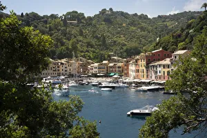 Images Dated 8th January 2019: Italy, Genoa province, Portofino. Upscale fishing village on the Ligurian Sea, pastel