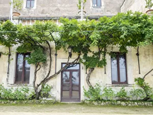 Italy, Lazio, Tivoli, Villa d Este. Trees growing along the palace walls