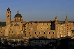 Piazza Prints: Italy, Le Marche, Urbino. Buildings at Piazza Duca Federico
