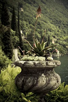 Images Dated 21st May 2009: ITALY, Lecco Province, Varenna. Villa Monastero, gardens and lakefront