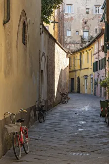 Images Dated 4th January 2019: Italy, Lucca. Alleyway