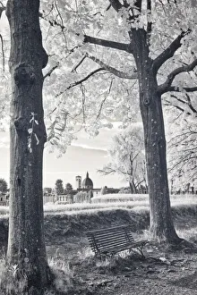Lucca Prints: Italy, Lucca. Infrared image of bench along the walk around Lucca on the wall