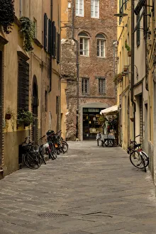 Bicycle Prints: Italy, Lucca street