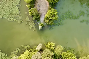 Michele Molinari Prints: Italy, Mantua, Mantua Lake aerial view