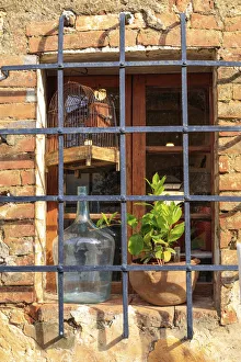Monteriggioni Prints: Italy, Monteriggioni. Stone wall, window with bars, wine bottle, bird cage and plant