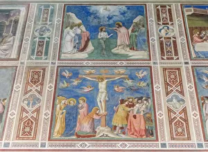Province Of Padua Prints: Italy, Padua, Scrovegni Chapel with frescoes painted by Giotto in the 14th century