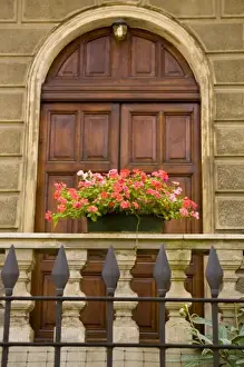 Parma Prints: Italy, Parma. A pot of pink flowers decorates the railing in front of a wooden door