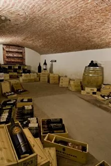 Italy, Piedmont (Piemonte), Pollenza, University of Gastronomic Sciences, wine cellar