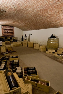Images Dated 24th February 2005: Italy, Piedmont (Piemonte), Pollenza, University of Gastronomic Sciences, wine cellar