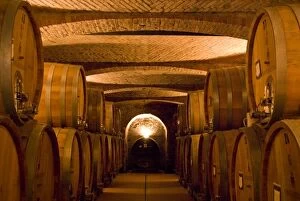 Images Dated 21st October 2006: Italy, Piedmont (Piemonte), Serralunga d Alba, wine cellar, tasting experience