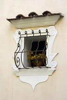 Positano Prints: Italy, Positano. Flowering plant in decorative window of a home