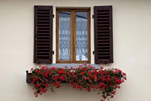 Europe Prints: Italy, Radda in Chianti. Flower boxes with red geraniums below a window with shutters