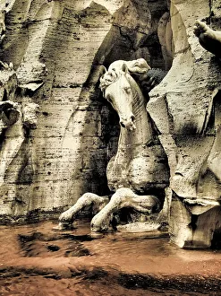 Infrared Prints: Italy, Rome. Infrared of horse head part of the Fontana dei Quattro Fiumi