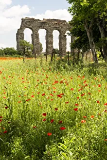Aqueduct Prints: Italy, Rome. Parc of the Aqueducts (Parco degli Acquedotti)