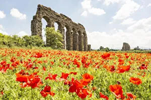 Aqueduct Prints: Italy, Rome. Parco Regionale dell Appia, Antica, Park of the Aqueducts